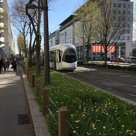 At In Lyon